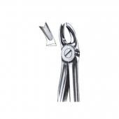 Extarcting Forceps 